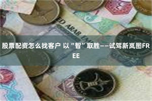 股票配资怎么找客户 以“智”取胜——试驾新岚图FREE