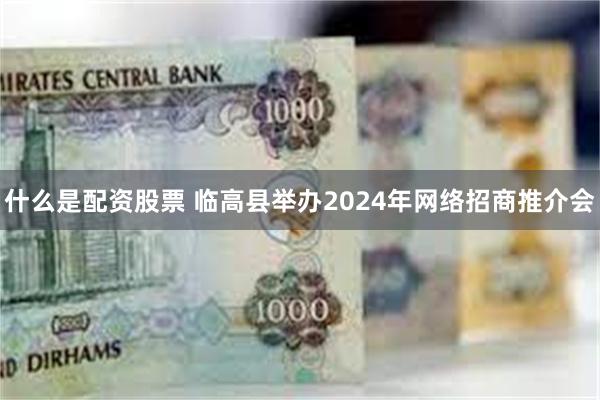 什么是配资股票 临高县举办2024年网络招商推介会