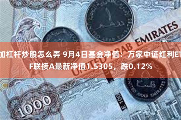 加杠杆炒股怎么弄 9月4日基金净值：万家中证红利ETF联接A最新净值1.5305，跌0.12%