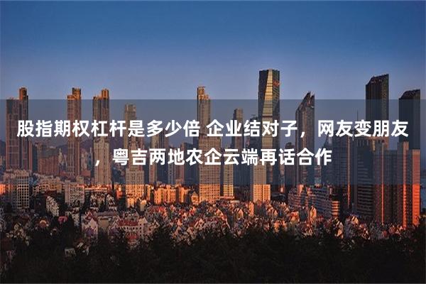 股指期权杠杆是多少倍 企业结对子，网友变朋友，粤吉两地农企云端再话合作