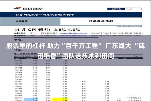 股票里的杠杆 助力“百千万工程” 广东海大 “咸田稻香”团队送技术到田间