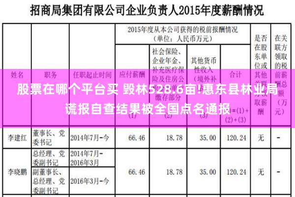 股票在哪个平台买 毁林528.6亩!惠东县林业局谎报自查结果被全国点名通报