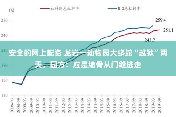 安全的网上配资 龙岩一动物园大蟒蛇“越狱”两天，园方：应是缩骨从门缝逃走