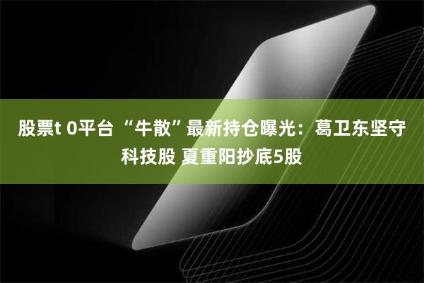 股票t 0平台 “牛散”最新持仓曝光：葛卫东坚守科技股 夏重阳抄底5股