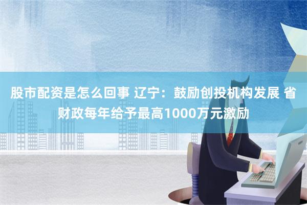 股市配资是怎么回事 辽宁：鼓励创投机构发展 省财政每年给予最高1000万元激励