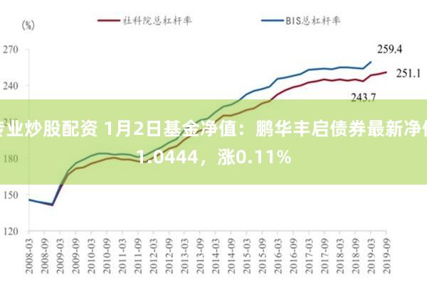 专业炒股配资 1月2日基金净值：鹏华丰启债券最新净值1.0444，涨0.11%