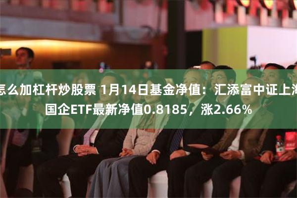 怎么加杠杆炒股票 1月14日基金净值：汇添富中证上海国企ETF最新净值0.8185，涨2.66%