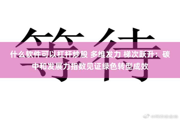 什么软件可以杠杆炒股 多维发力 梯次跃升：碳中和发展力指数见证绿色转型成效